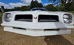1976 Firebird Trans Am Thumbnail 18