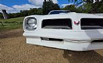 1976 Firebird Trans Am Thumbnail 19