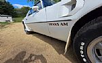 1976 Firebird Trans Am Thumbnail 27