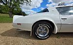 1976 Firebird Trans Am Thumbnail 29