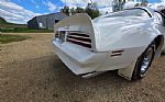 1976 Firebird Trans Am Thumbnail 36
