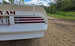 1976 Firebird Trans Am Thumbnail 37