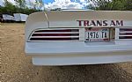 1976 Firebird Trans Am Thumbnail 39