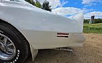 1976 Firebird Trans Am Thumbnail 42