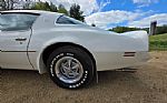 1976 Firebird Trans Am Thumbnail 41