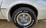 1976 Firebird Trans Am Thumbnail 43