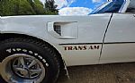 1976 Firebird Trans Am Thumbnail 49