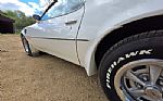 1976 Firebird Trans Am Thumbnail 46