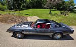 1980 Firebird Trans Am Thumbnail 11