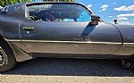 1980 Firebird Trans Am Thumbnail 33