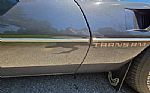1980 Firebird Trans Am Thumbnail 34