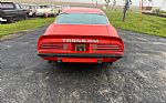 1974 Trans Am Thumbnail 4