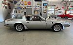 1979 Trans Am Thumbnail 10