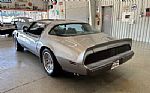 1979 Trans Am Thumbnail 13