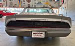 1979 Trans Am Thumbnail 15