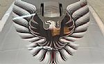 1979 Trans Am Thumbnail 26