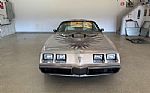 1979 Trans Am Thumbnail 49