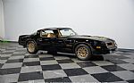 1977 Firebird Trans Am Y82 Special Thumbnail 15