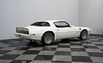 1979 Firebird Trans Am Thumbnail 13