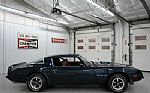 1975 Trans Am Thumbnail 18