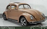 1957 Beetle Thumbnail 3