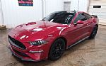 2020 MUSTANG Thumbnail 4