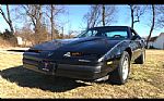 1989 Firebird Thumbnail 1