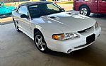 1996 Mustang Thumbnail 4