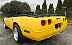 1992 Corvette Thumbnail 6