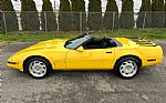 1992 Corvette Thumbnail 7