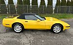 1992 Corvette Thumbnail 24
