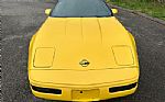 1992 Corvette Thumbnail 20