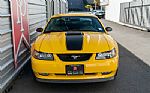 2004 Mustang Thumbnail 42