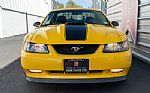 2004 Mustang Thumbnail 50