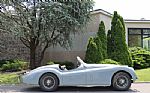 1953 XK120 Roadster Thumbnail 3